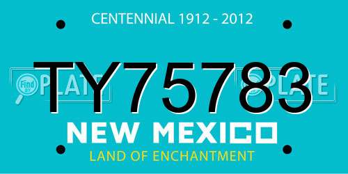 TY75783 New Mexico License Plate