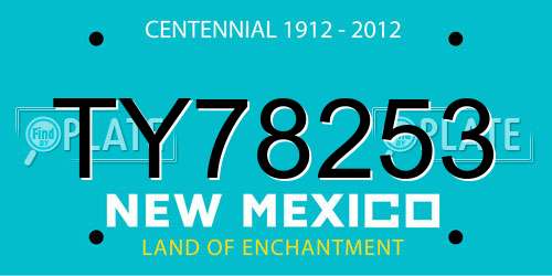 TY78253 New Mexico License Plate
