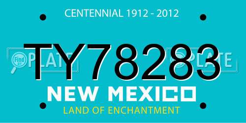 TY78283 New Mexico License Plate