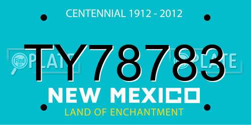 TY78783 New Mexico License Plate