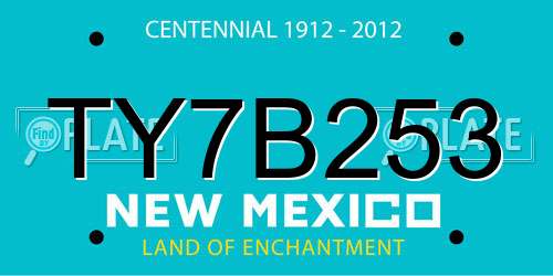 TY7B253 New Mexico License Plate