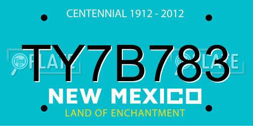 TY7B783 New Mexico License Plate