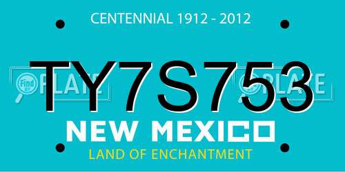 TY7S753 New Mexico License Plate