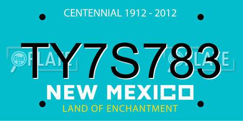 TY7S783 New Mexico License Plate