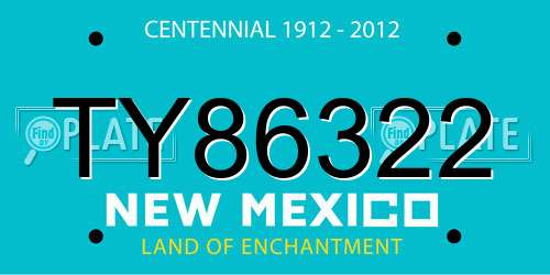 TY86322 New Mexico License Plate