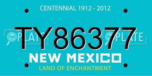 TY86377 New Mexico License Plate
