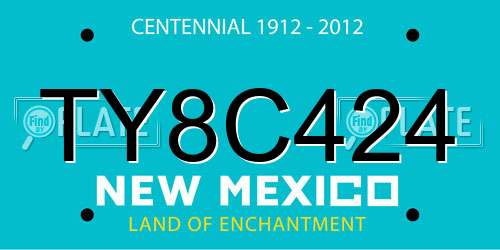 TY8C424 New Mexico License Plate