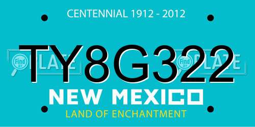 TY8G322 New Mexico License Plate