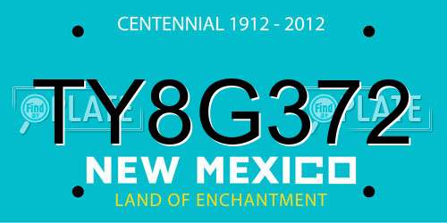 TY8G372 New Mexico License Plate