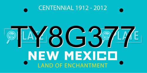 TY8G377 New Mexico License Plate