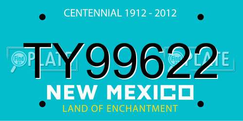TY99622 New Mexico License Plate