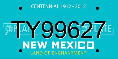 TY99627 New Mexico License Plate