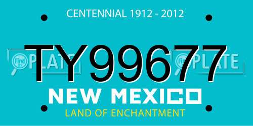 TY99677 New Mexico License Plate