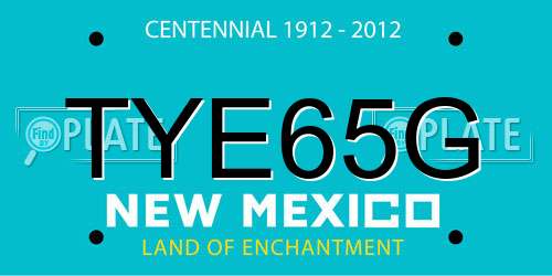TYE65G New Mexico License Plate