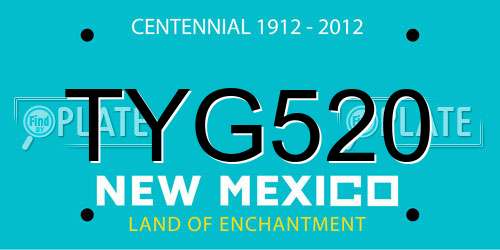 TYG520 New Mexico License Plate