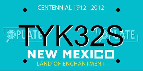 TYK32S New Mexico License Plate