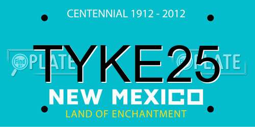 TYKE25 New Mexico License Plate