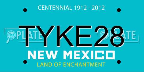TYKE28 New Mexico License Plate