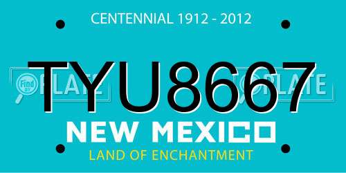 TYU8667 New Mexico License Plate