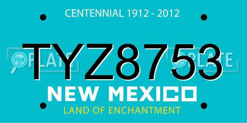 TYZ8753 New Mexico License Plate