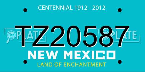 TZ20587 New Mexico License Plate