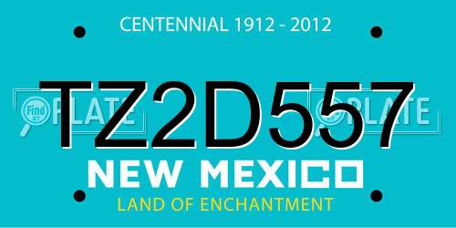 TZ2D557 New Mexico License Plate