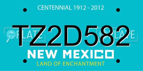 TZ2D582 New Mexico License Plate