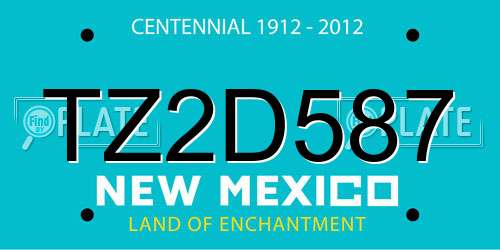 TZ2D587 New Mexico License Plate