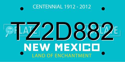 TZ2D882 New Mexico License Plate
