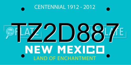 TZ2D887 New Mexico License Plate