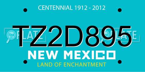 TZ2D895 New Mexico License Plate