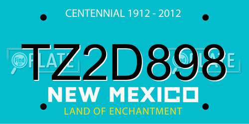 TZ2D898 New Mexico License Plate