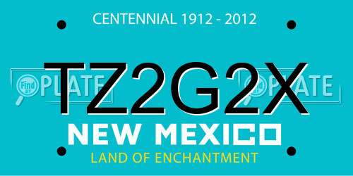 TZ2G2X New Mexico License Plate