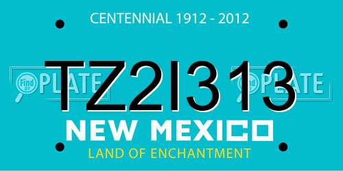 TZ2I313 New Mexico License Plate