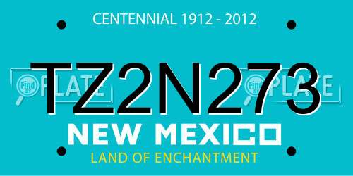 TZ2N273 New Mexico License Plate