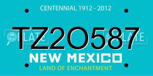 TZ2O587 New Mexico License Plate