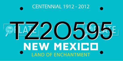 TZ2O595 New Mexico License Plate