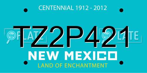 TZ2P421 New Mexico License Plate
