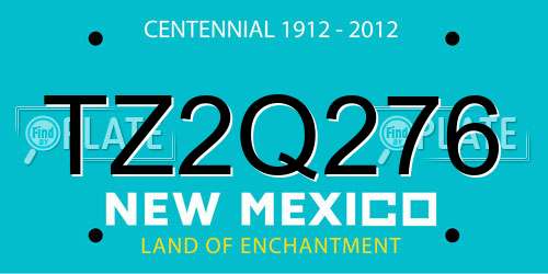 TZ2Q276 New Mexico License Plate