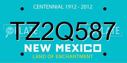 TZ2Q587 New Mexico License Plate