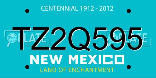 TZ2Q595 New Mexico License Plate