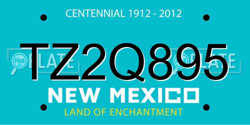TZ2Q895 New Mexico License Plate