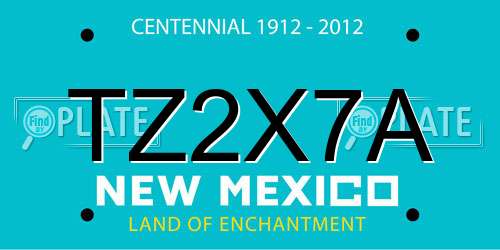 TZ2X7A New Mexico License Plate