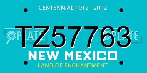 TZ57763 New Mexico License Plate