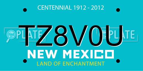 TZ8V0U New Mexico License Plate