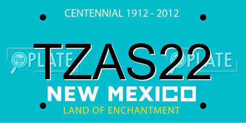 TZAS22 New Mexico License Plate