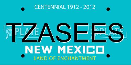 TZASEES New Mexico License Plate