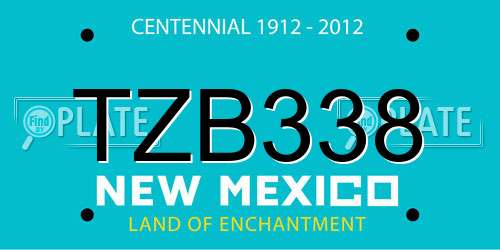 TZB338 New Mexico License Plate