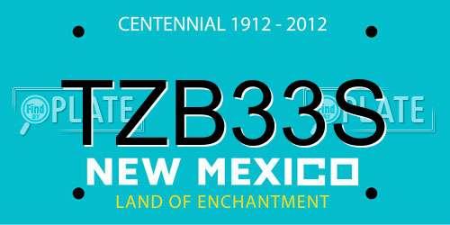 TZB33S New Mexico License Plate