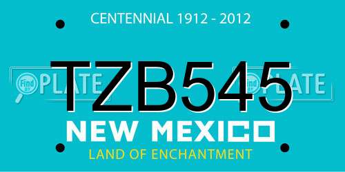 TZB545 New Mexico License Plate